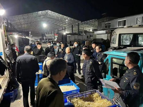 凌晨出击，兰陵县市场监管局夜查食用农产品零售安全