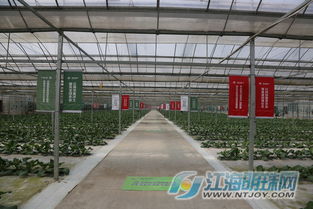 民以食为天 南通全市推进食用农产品“一票通”制度，保障零售安全