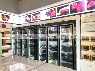 广州食品冷冻柜选购指南 食用农产品零售价格与实用要点